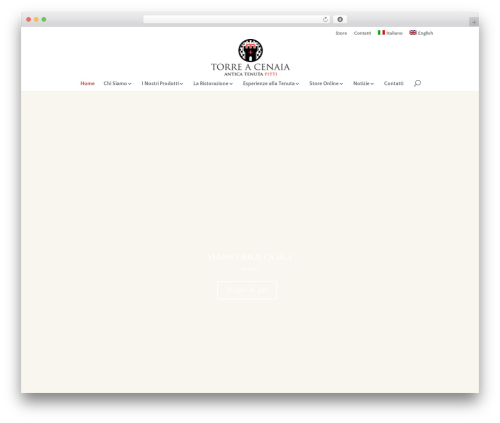WebNet Theme WP theme - torreacenaia.it