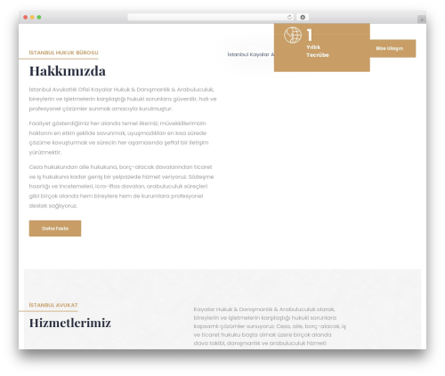 Bravis theme core WordPress plugin - hukukkayalar.com
