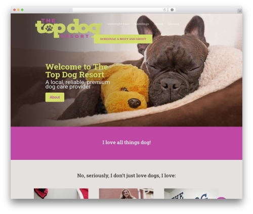 Bazz CallBack widget (bazz-callback-widget) free WordPress plugin - thetopdogresort.com