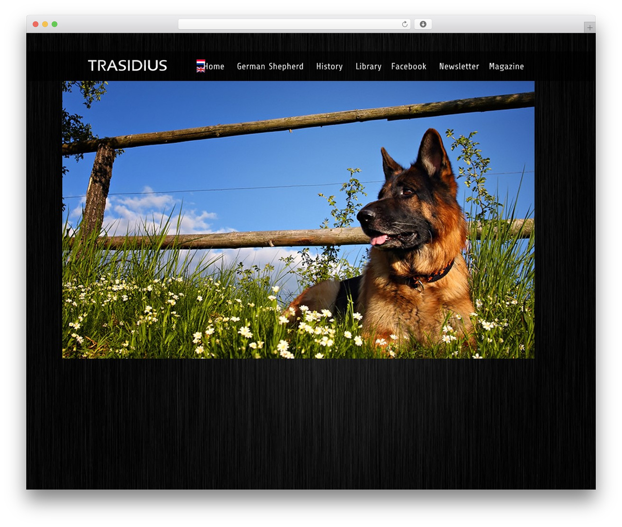 WordPress theme Meshable - trasidius.nl WordPress theme Meshable - trasidius.nl