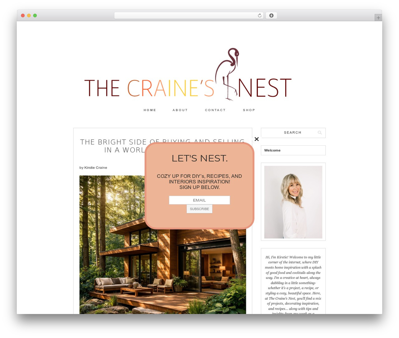 WordPress theme pastiche - thecrainesnest.com
