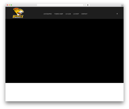 Best WordPress theme BigSlam - bernexbasket.ch