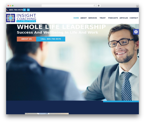 Big tuna pro WordPress plugin - insightcoaching.com