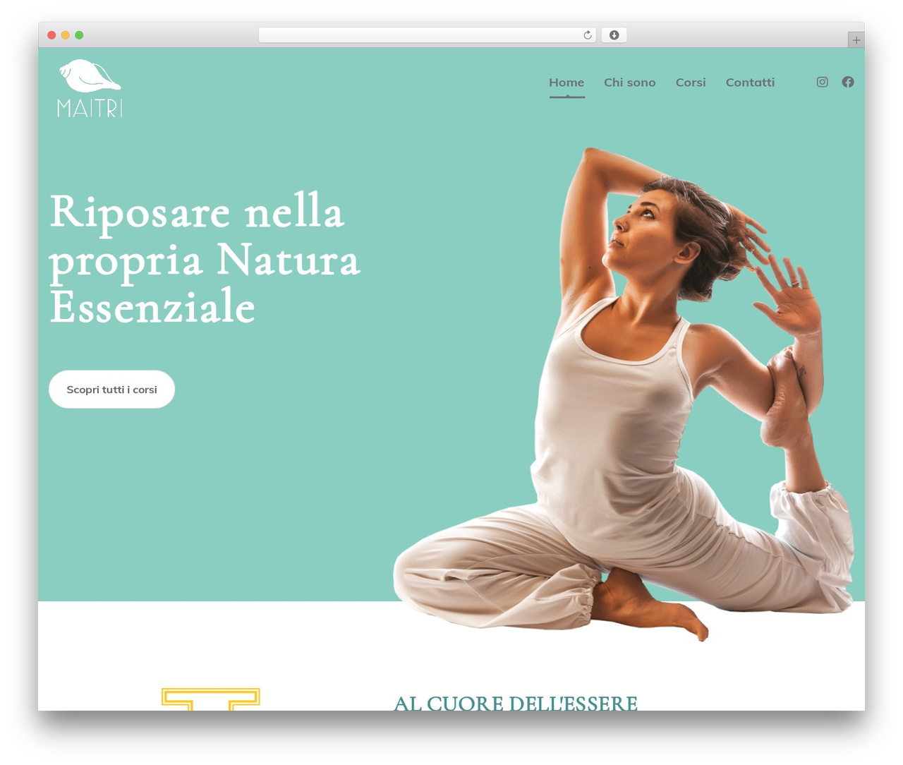 WordPress theme MasterStudy - maitri.it