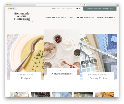 WordPress theme Kadence - homemadeonourhomestead.com