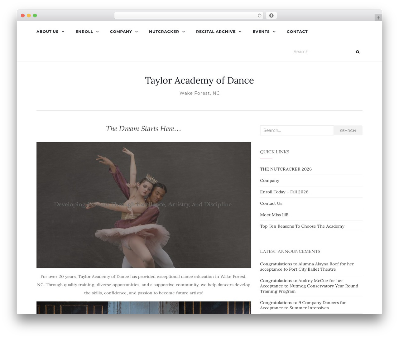 Activello WordPress theme - tayloracademy.com