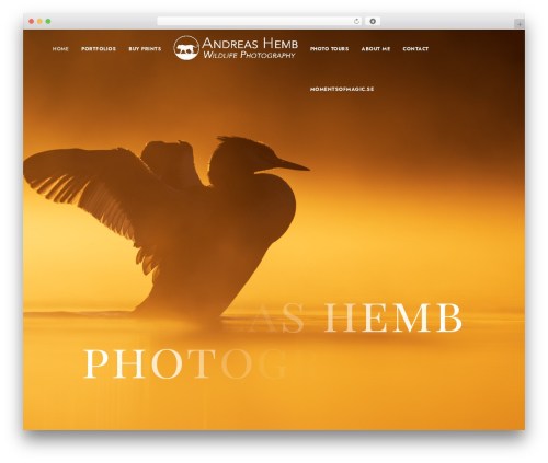 Imaginem blocks ii WordPress plugin - andreashemb.com