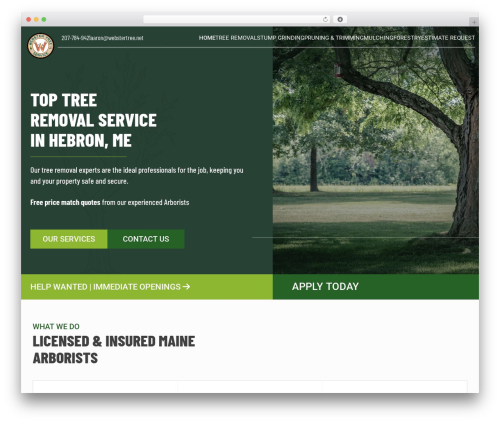 bmwl_theme_wp theme WordPress - webstertree.net
