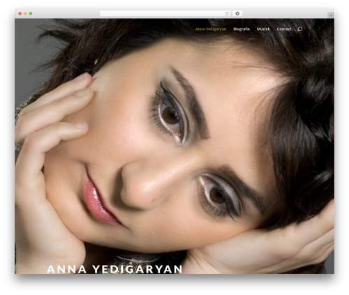 Divi theme WordPress - yedigaryan.com