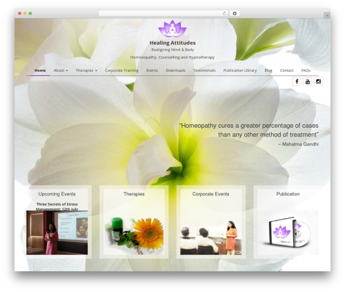 Theme Migo theme WordPress - drmeenalsohani.com