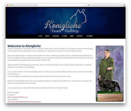 WordPress theme Hello Elementor - konigliche.com