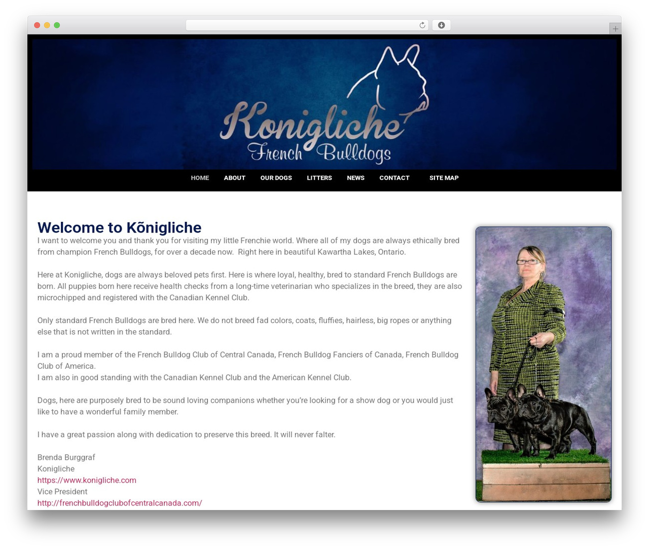 WordPress theme Hello Elementor - konigliche.com