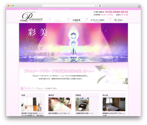 新・ソリューションパッケージ theme WordPress - promenard-mi.jp
