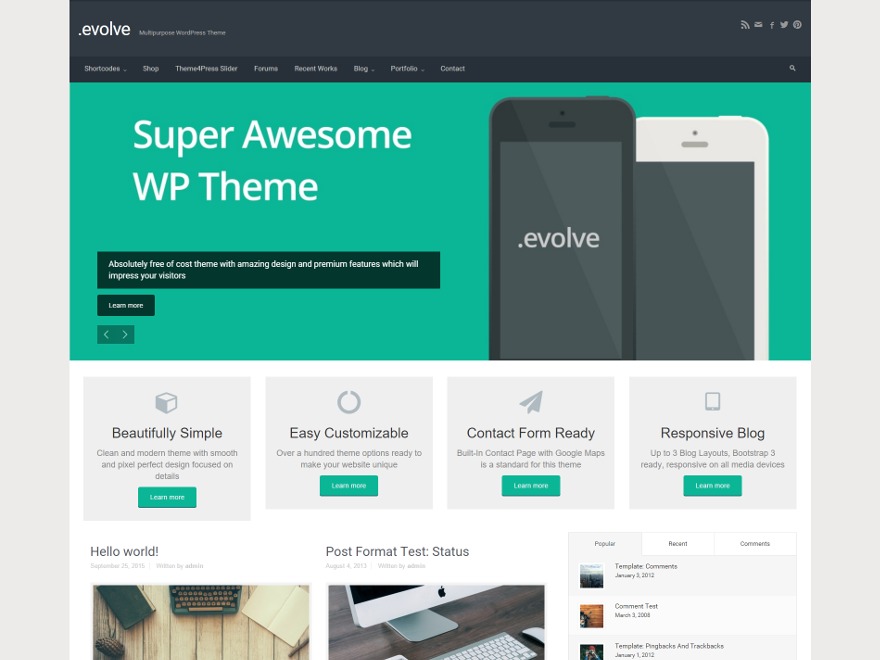 evolve Childtheme WordPress theme by MAK