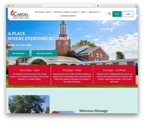 Hello Elementor best WordPress theme - cargillumc.org