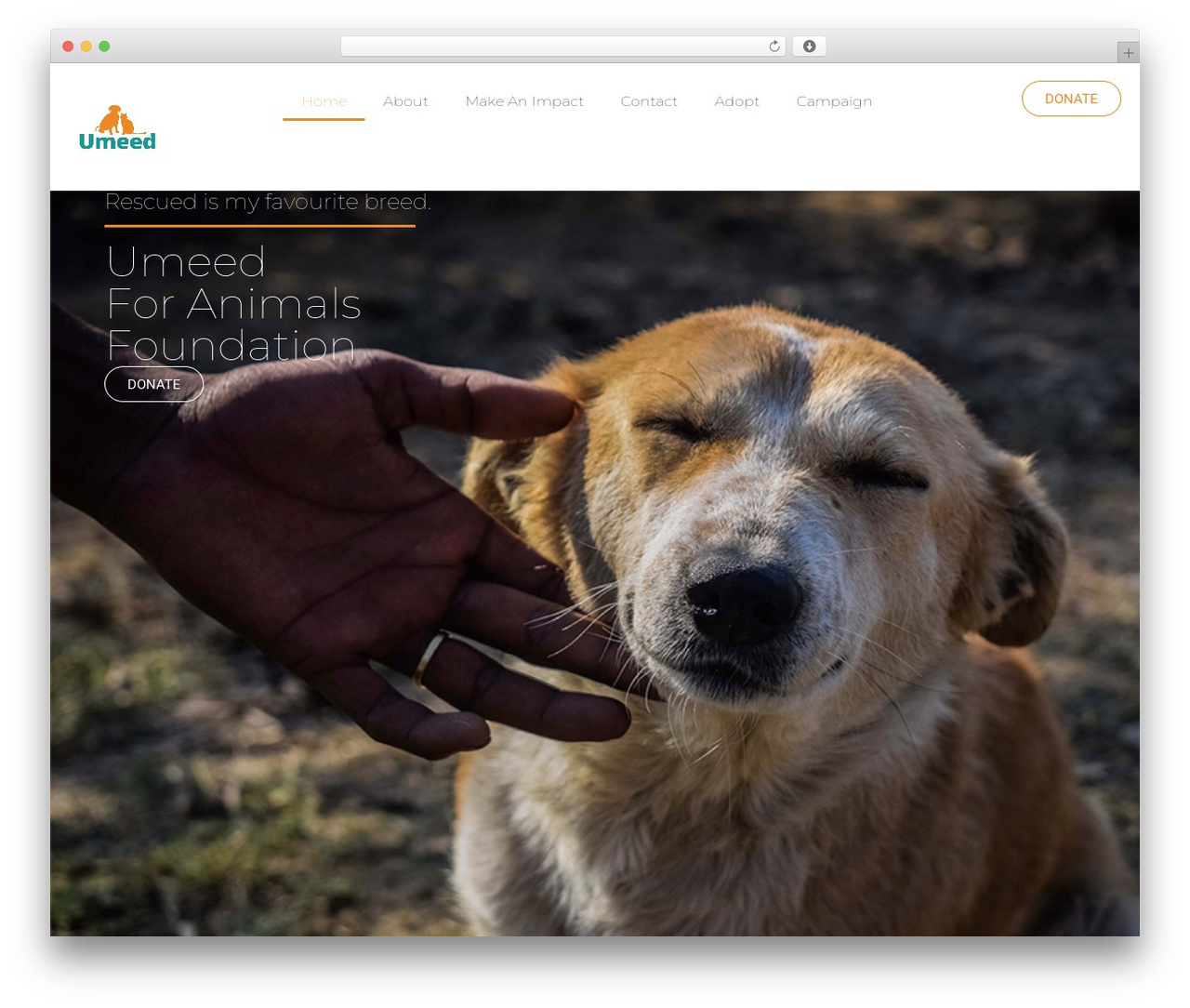 Hello Elementor theme WordPress - umeedforanimals.org Hello Elementor theme WordPress - umeedforanimals.org