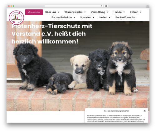 Wp optimize premium WordPress plugin - pfotenherz-tierschutz.com