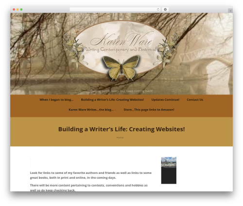 Optimizer PRO best WordPress theme - karen-ware.com