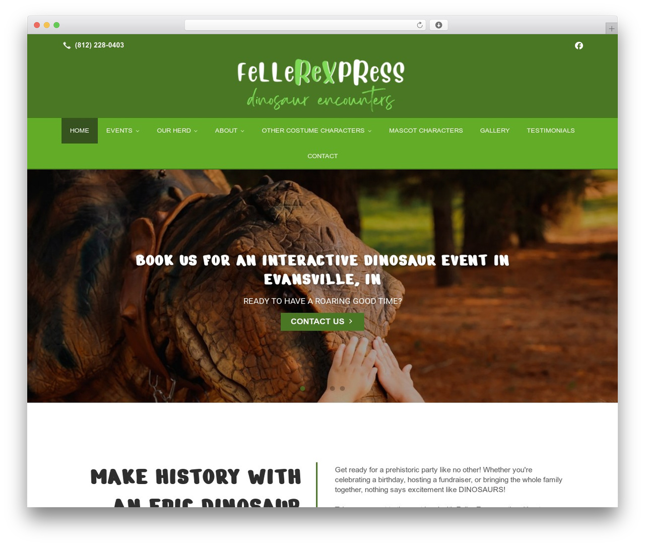 Theme WordPress Beacon Theme - fellerexpress.com