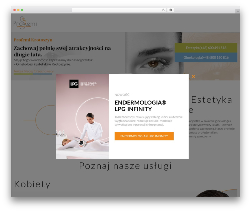 theme WordPress theme - profemi.pl