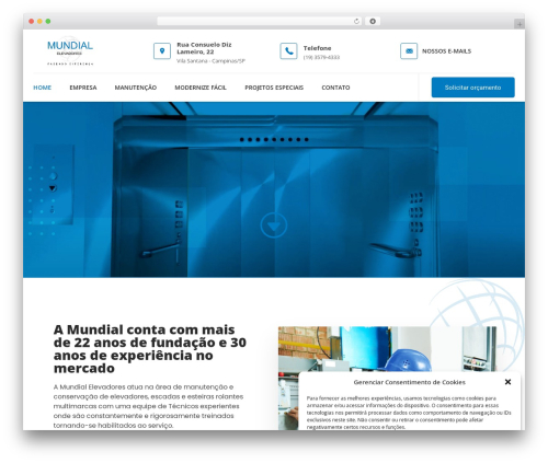 WordPress theme Hello Elementor - mundialelevadores.com