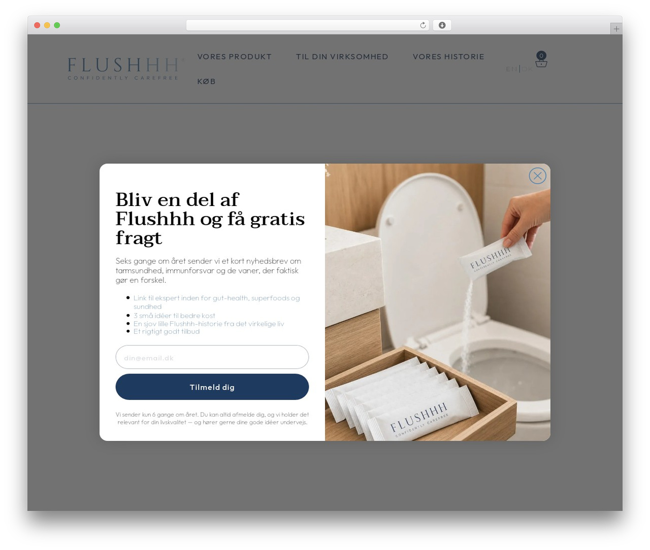 Hello Elementor Child free WordPress theme - flushhh.com