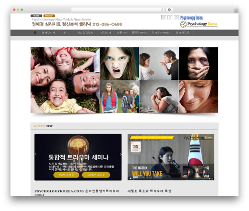 iTheme2 WordPress website theme - analystdrkwon.com