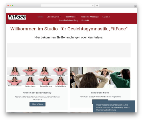 Message popup for contact form 7 WordPress plugin - fitface.ch