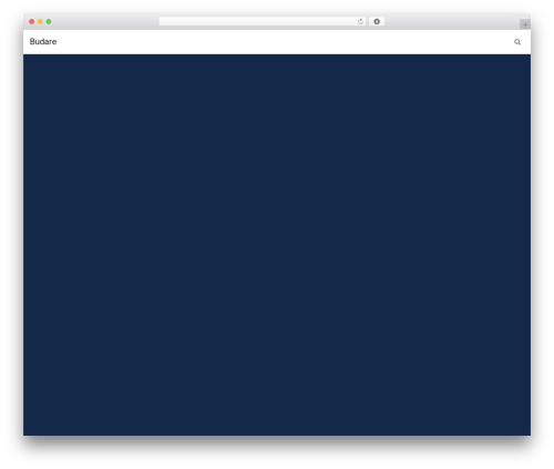 Wp hummingbird WordPress plugin - budare.org