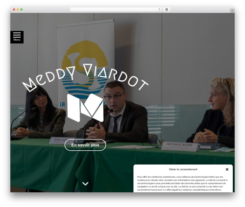 Unlimited timeline WordPress plugin - meddyviardot.com