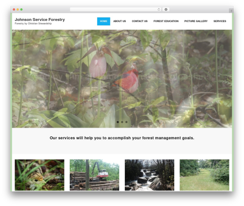 Shuttle theme WordPress - johnsonserviceforestry.com Shuttle theme WordPress - johnsonserviceforestry.com