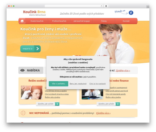 MD webdesign theme WordPress theme - brnokoucink.cz