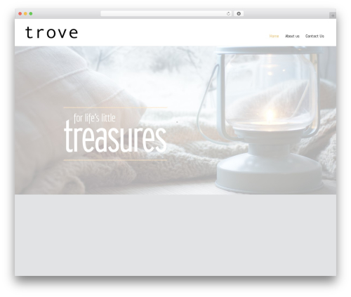Cookie control WordPress plugin - trovelifestyle.com