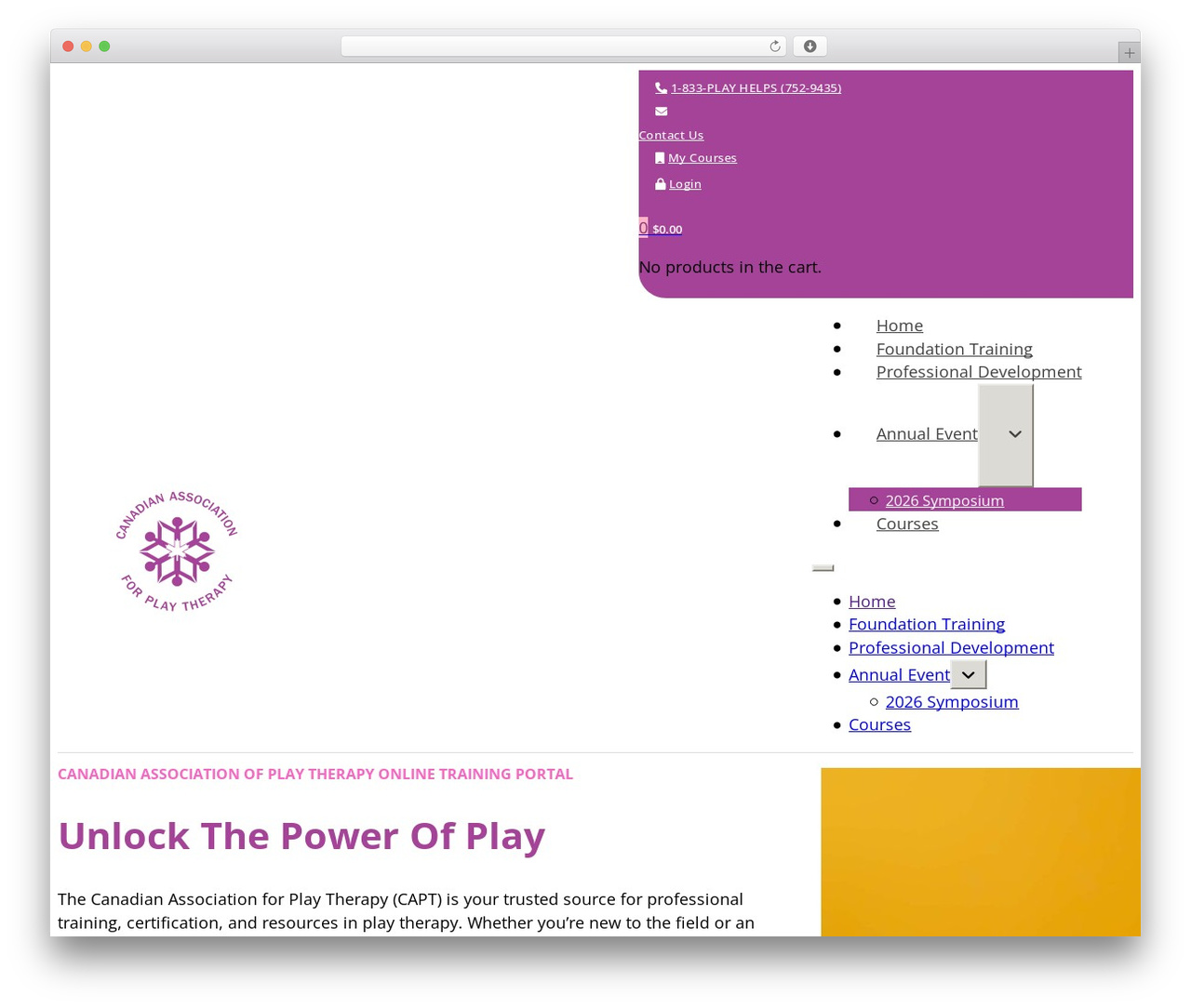 WordPress theme Bricks - capttraining.com