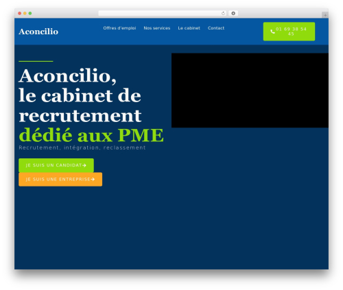 WordPress website theme Hello Elementor - aconcilio.com