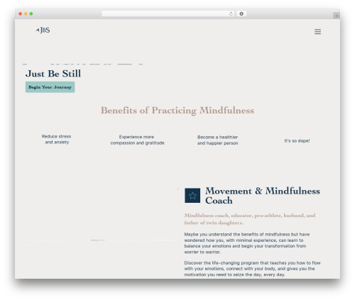 Darwin premium WordPress theme - jamesbsamuels.com