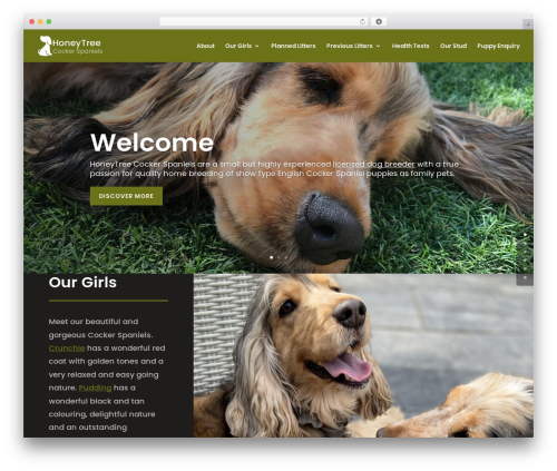 GDPR Banner (gdpr-banner) free WordPress plugin - cockerspanieldogs.co.uk GDPR Banner (gdpr-banner) free WordPress plugin - cockerspanieldogs.co.uk