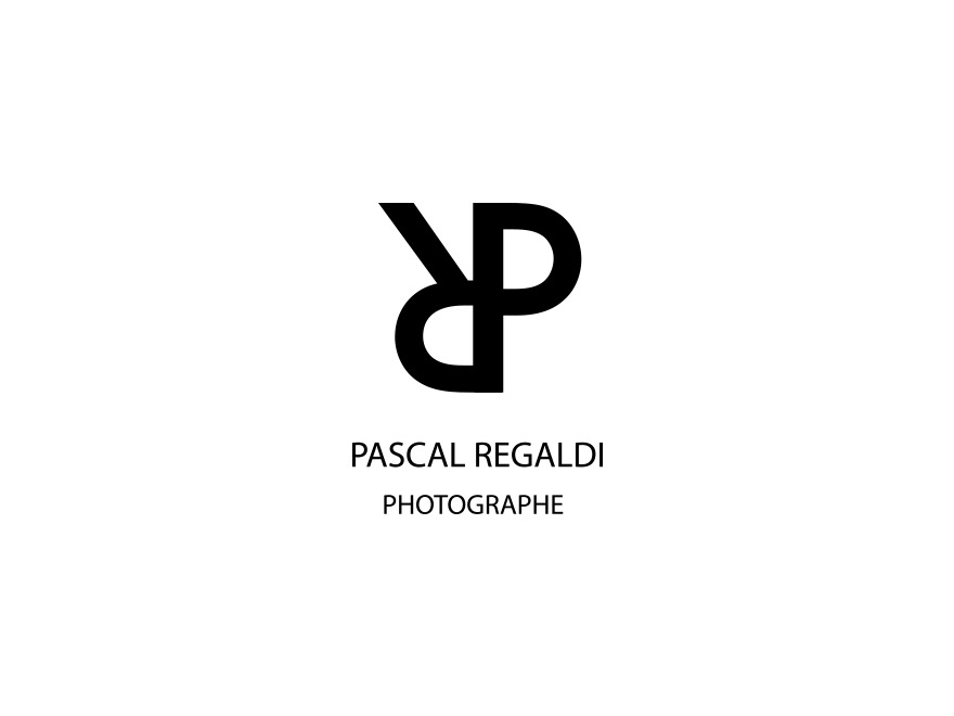 Pascal Regaldi Template WordPress theme by Pixies Agency