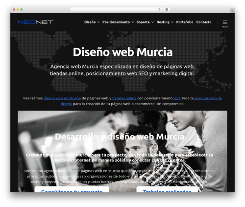 Ai WordPress plugin - neonet.es