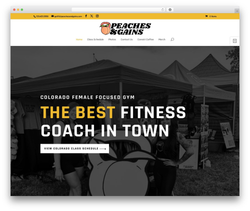 Divi WordPress theme - peachesandgains.com