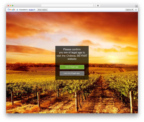 Google language translator premium WordPress plugin - chateaubeynat.com