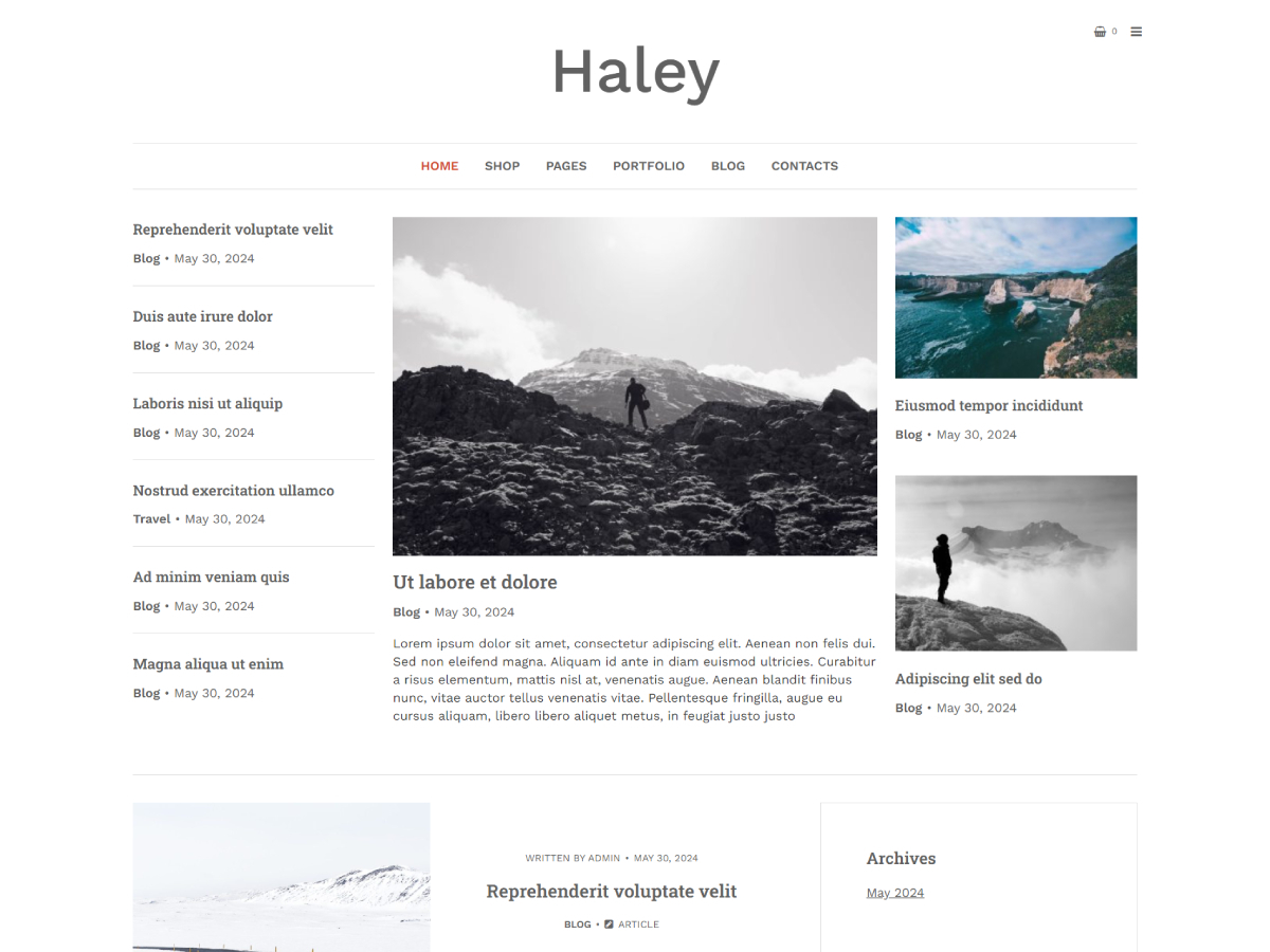 Haley WordPress theme by ThemeinProgress.