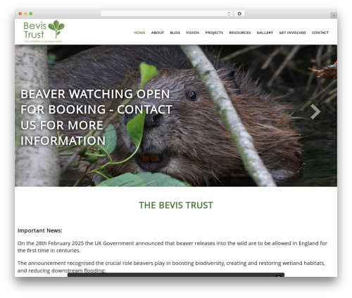 Theme WordPress Bevis Theme - bevistrust.com