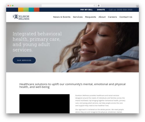 Fix divi a11y main WordPress plugin - excelsiorwellness.org