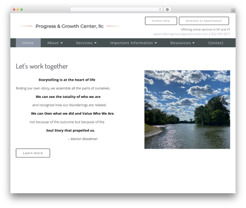 Theme WordPress Megatheme - progressandgrowthcenter.com