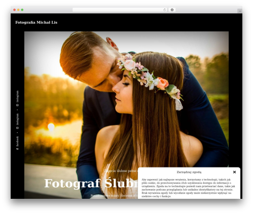 Simple Lazy Load Videos (simple-lazy-load-videos) free WordPress plugin - michallis.pl