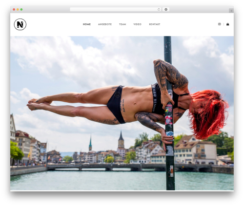 Whizz theme WordPress - nastynk.com