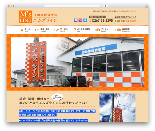 Custom article WordPress plugin - msline2014.com