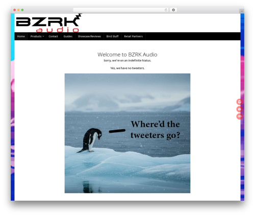 childTheme theme WordPress - bzrkaudio.com