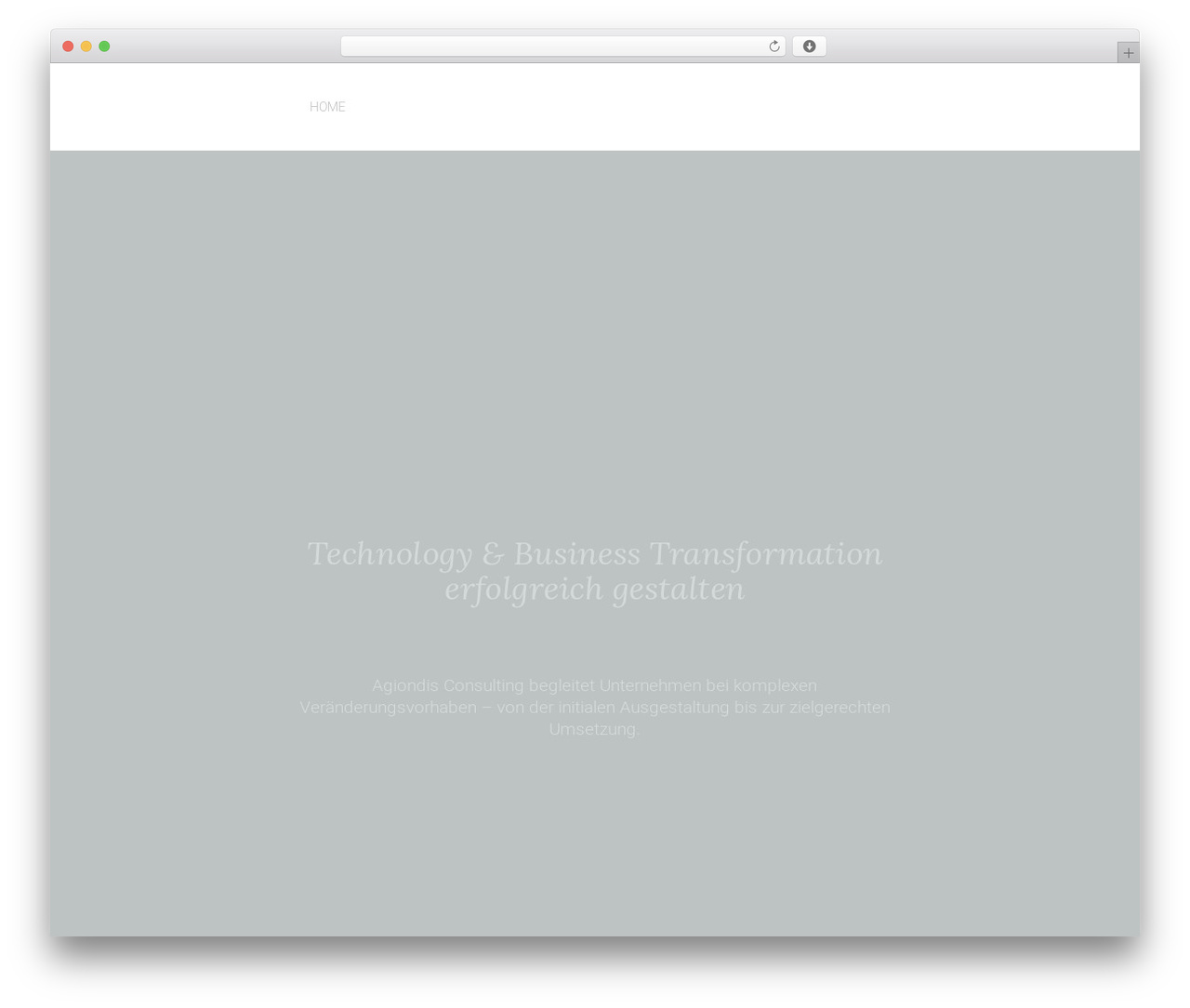 Lambda WordPress theme - agiondis.com